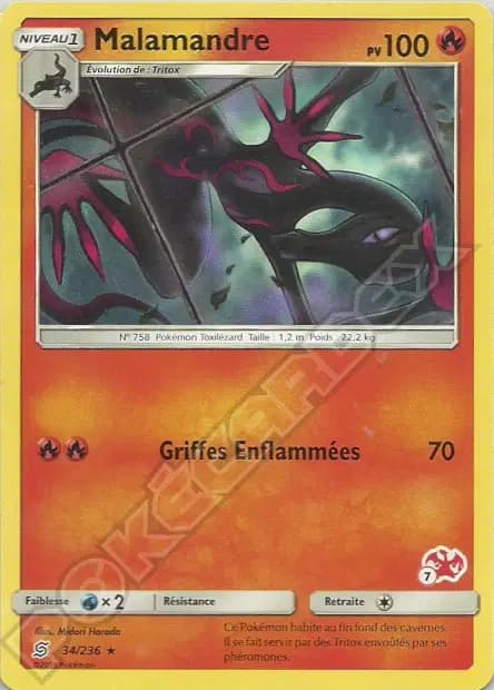 Malamandre — Académie de Combat (Deck Dracaufeu)