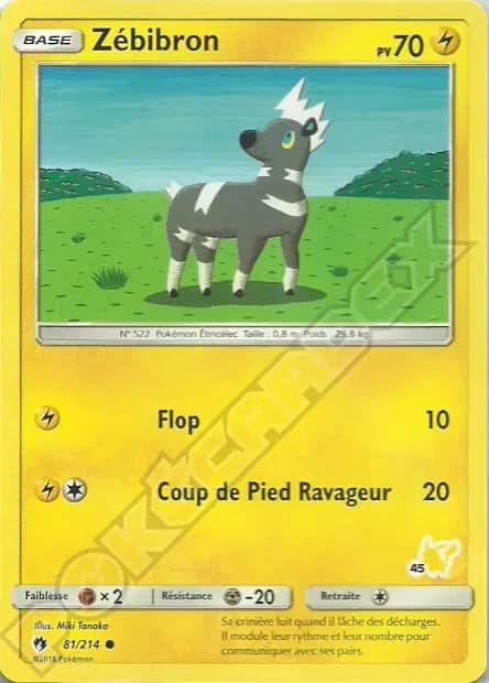 Zébibron — Académie de Combat (Deck Pikachu)