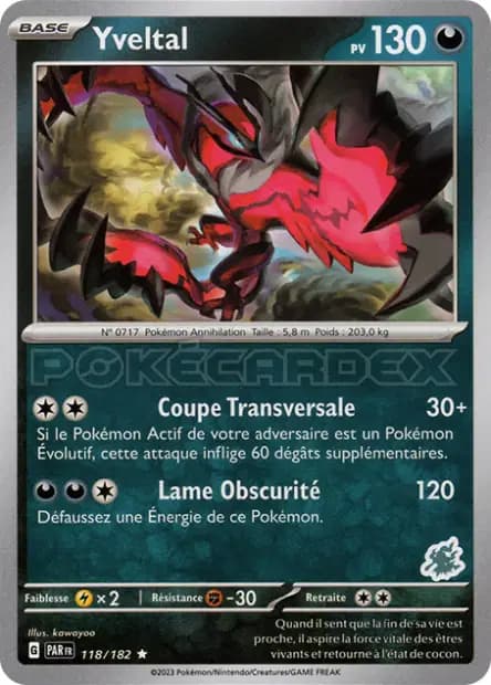 Yveltal — Académie de Combat 2024 (Deck Darkrai)