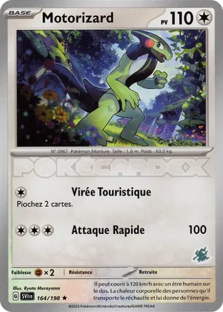 Motorizard — Académie de Combat 2024 (Deck Darkrai)