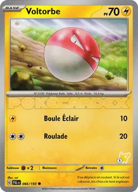 Voltorbe — Académie de Combat 2024 (Deck Pikachu)