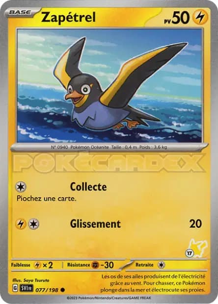 Zapétrel — Académie de Combat 2024 (Deck Pikachu)