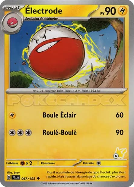 Électrode — Académie de Combat 2024 (Deck Pikachu)