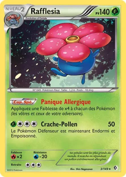 Rafflesia — Frontières Franchies