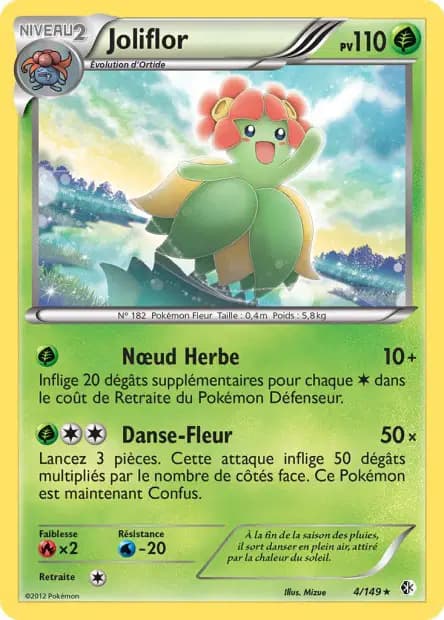 Joliflor — Frontières Franchies