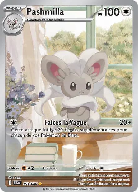Pashmilla — Foudre Noire