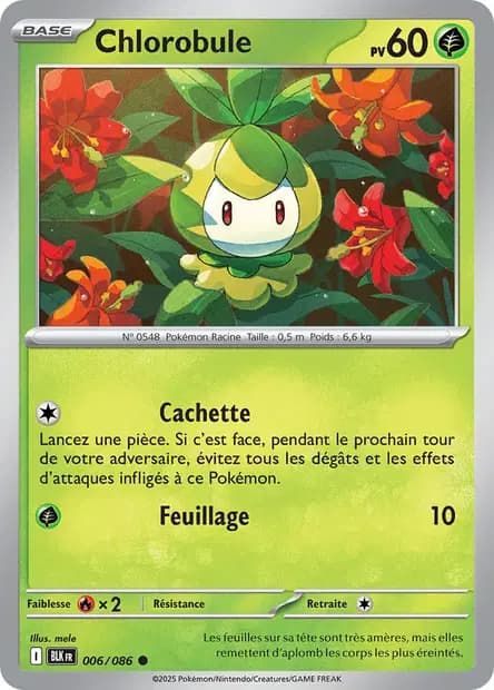 Chlorobule — Foudre Noire