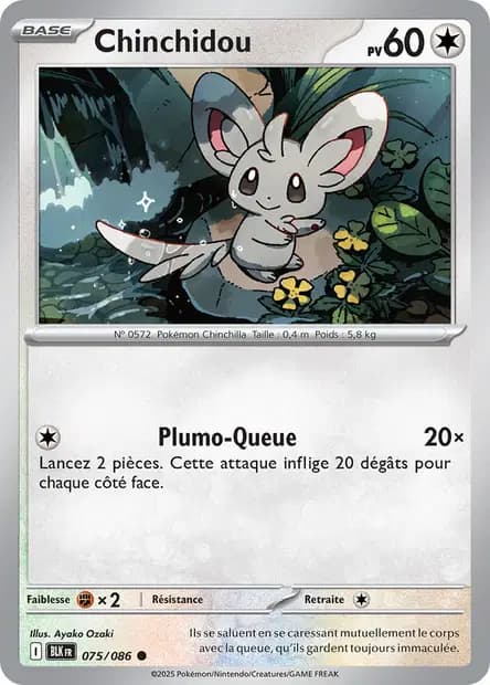 Chinchidou — Foudre Noire