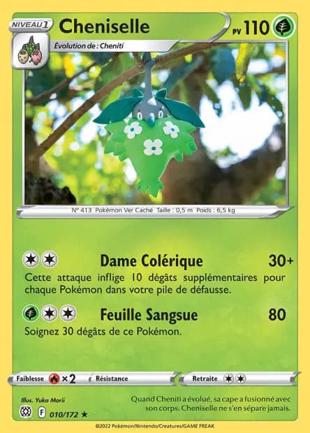 Cheniselle — Stars Étincelantes