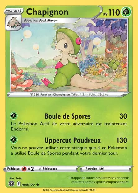 Chapignon — Stars Étincelantes