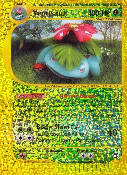 Florizarre — Box Topper
