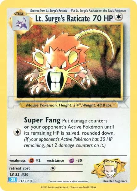 Rattatac — TCG Classic Blastoise & Suicune
