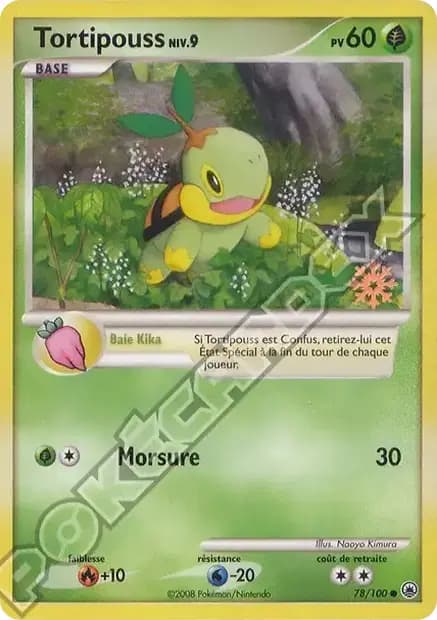 Tortipouss — Calendrier Pokémon 2009