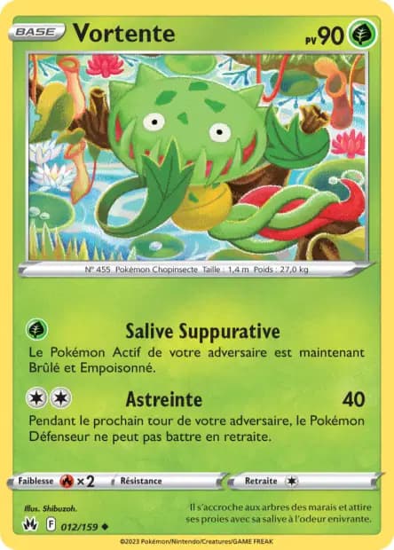 Vortente — Zénith Suprême