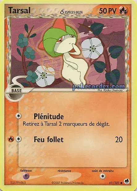 Tarsal — EX : Île des Dragons