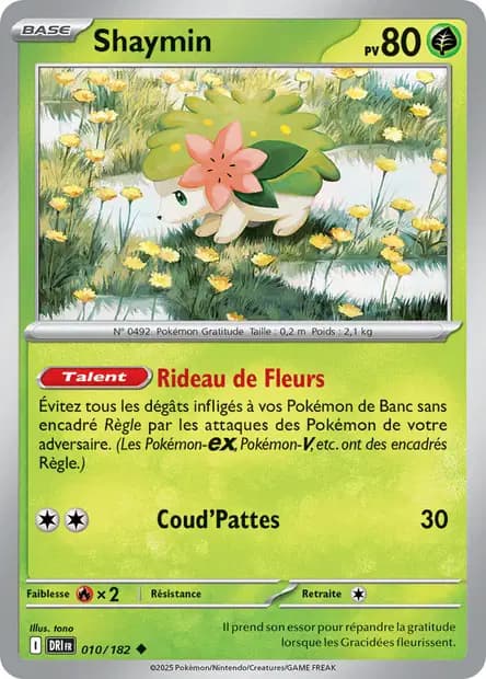 Shaymin — Rivalités Destinées