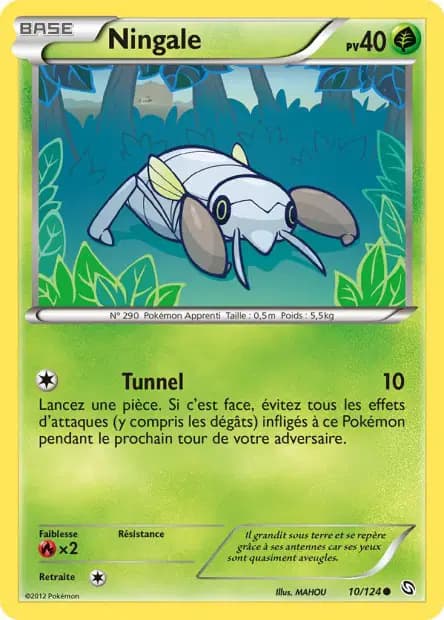 Ningale — Dragons Exaltés