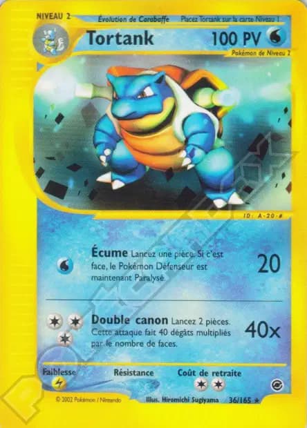 Tortank — Expedition