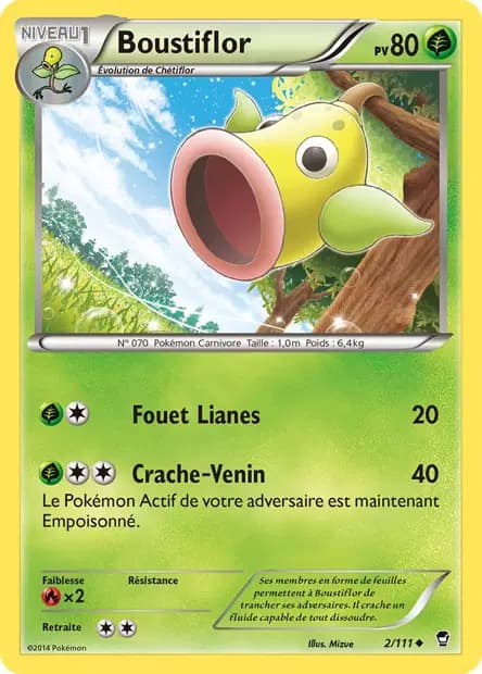 Boustiflor — Poings Furieux
