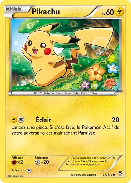 Pikachu — Poings Furieux