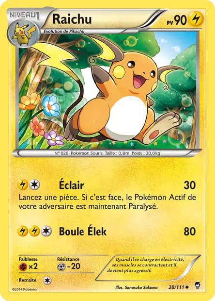 Raichu — Poings Furieux
