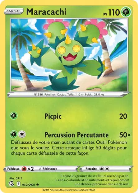Maracachi — Poing de Fusion