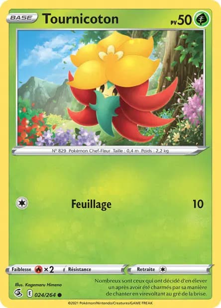 Tournicoton — Poing de Fusion