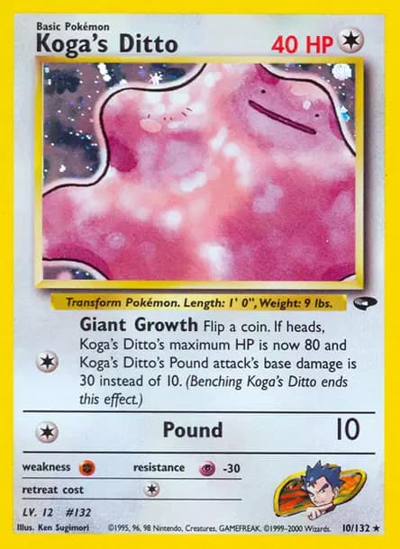 Métamorph — Gym Challenge