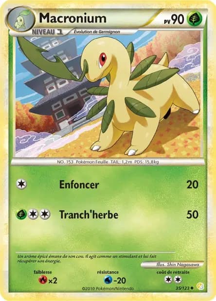 Macronium — HeartGold SoulSilver