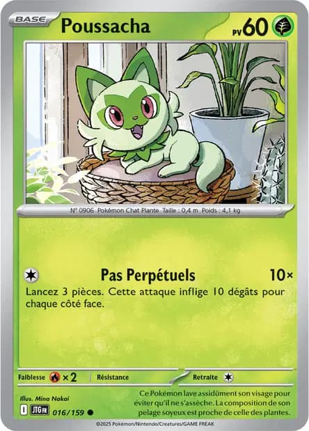 Poussacha — Aventures Ensemble