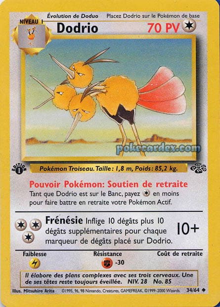 Dodrio — Jungle