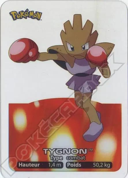 Tygnon — Lamincards 2005