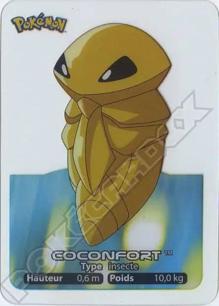 Coconfort — Lamincards 2005