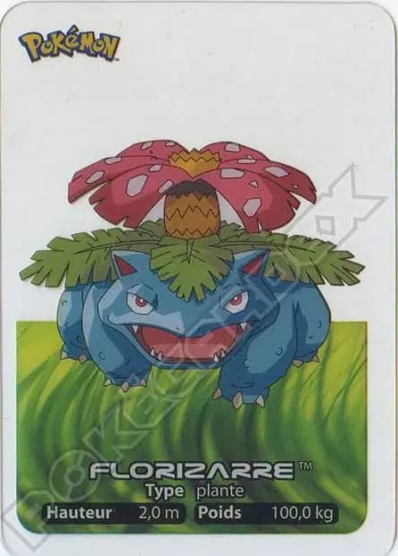 Florizarre — Lamincards 2005
