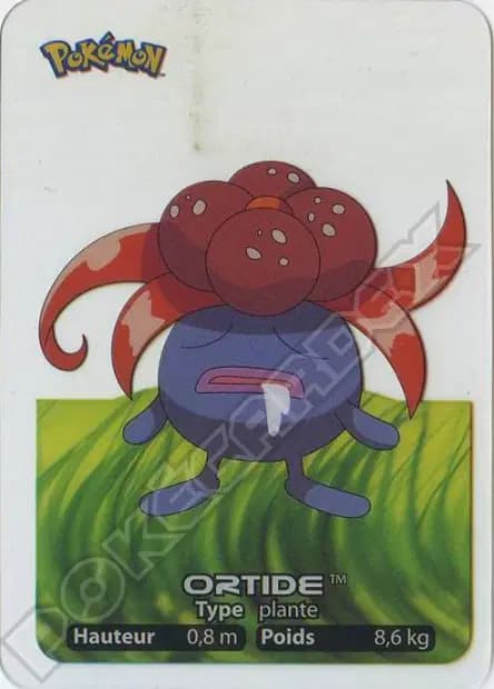 Ortide — Lamincards 2005