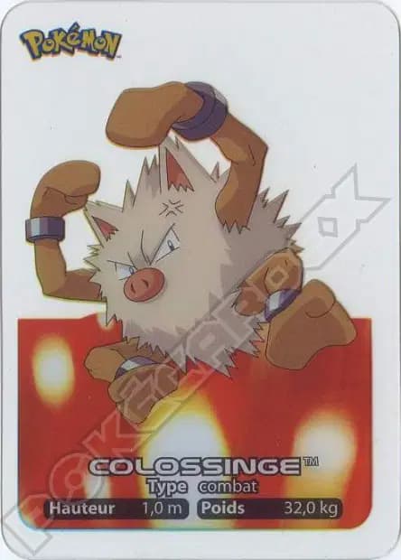 Colossinge — Lamincards 2005