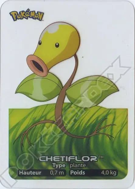 Chétiflor — Lamincards 2005