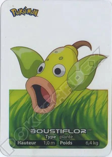 Boustiflor — Lamincards 2005