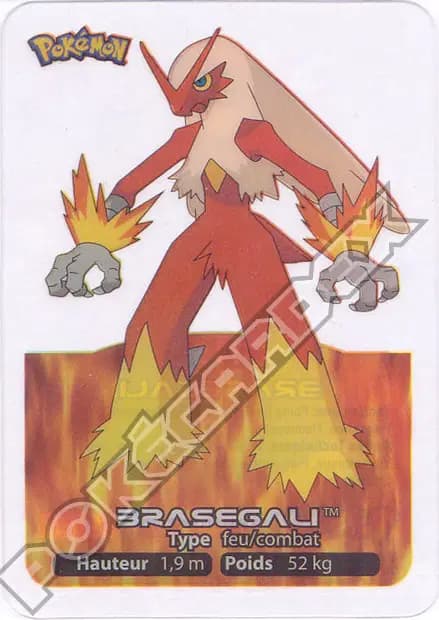 Braségali — Lamincards 2006