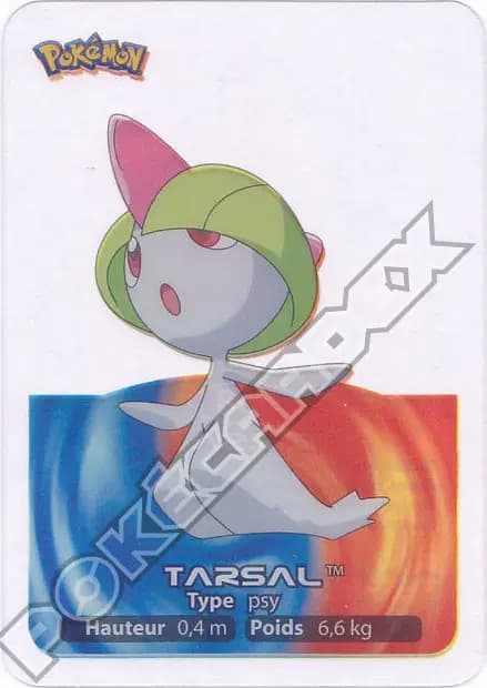 Tarsal — Lamincards 2006