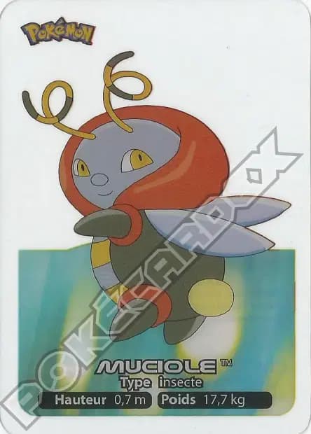Muciole — Lamincards 2006