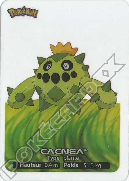 Cacnea — Lamincards 2006
