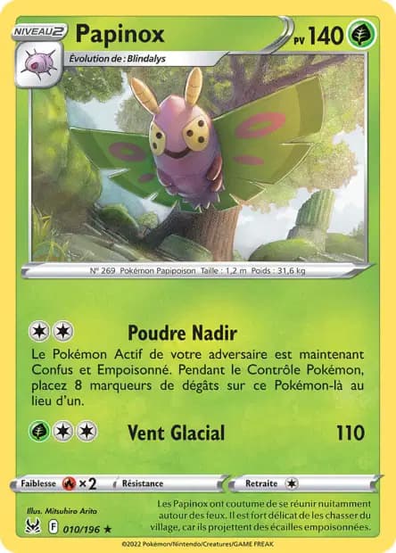 Papinox — Origine Perdue
