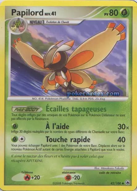 Papilord — Diamant & Perle : Aube Majestueuse