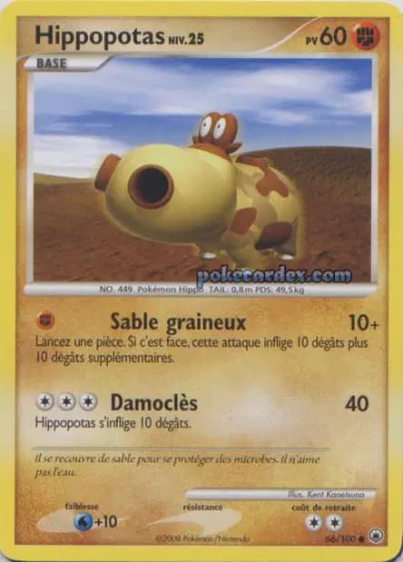 Hippopotas — Diamant & Perle : Aube Majestueuse