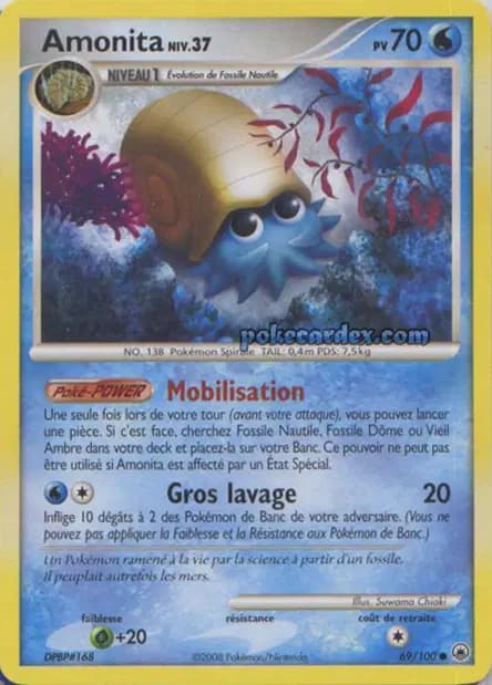 Amonita — Diamant & Perle : Aube Majestueuse