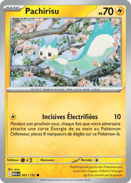 Pachirisu — Méga-Évolution