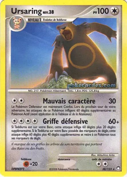 Ursaring — Diamant & Perle : Trésors Mystérieux
