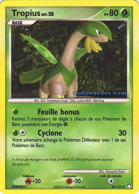 Tropius — Diamant & Perle : Trésors Mystérieux