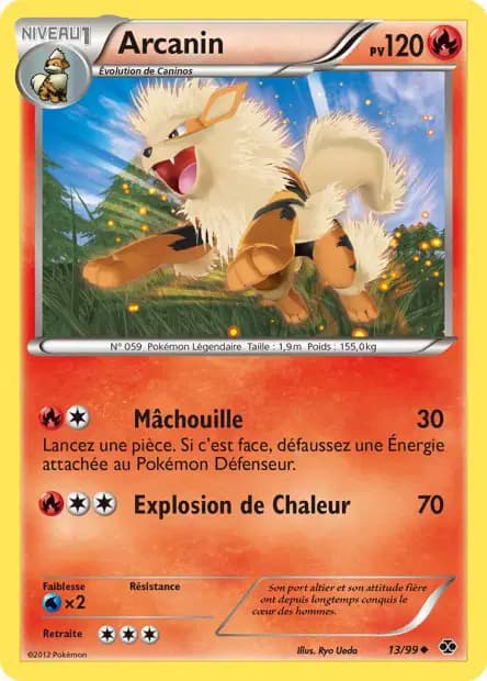 Arcanin — Destinées Futures